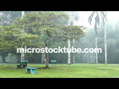 Heavy rain fall in exotic eco park with palm trees - 4K UHD 2160p