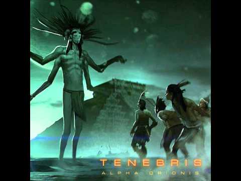 TENEBRIS - Adha Pawn