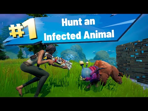 Hunt an Infected Animal