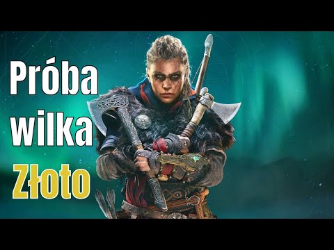 Zagrajmy w Assassins Creed Valhalla (PL) warownia Templebrough - Próba wilka - Złoto [XSX]