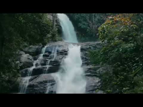 SORINA VÎIU  - Nehotărâre,  Versuri - NEFORCOȘ CĂLMĂȚUI