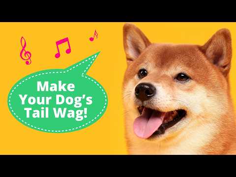 These 10 Sounds Will Make Your Dog’s Tail Wag 🐶