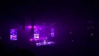 skin and bones (mana-mana edit) - foo fighters (live in bologna 2015.11.13)