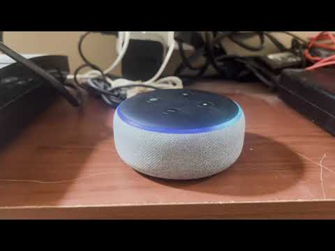 Echo Dot Flashing Green