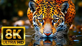 🌿 PLANET ANIMALS 8K ULTRA HD – Wild Animals of the Rainforest | Calming Music