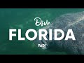 Scuba Diving In Florida