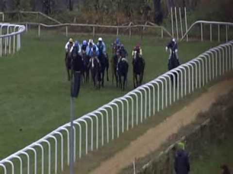 Galopprennbahn Dresden - 22.11.2013 - 7.Rennen