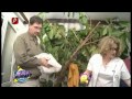 Curat Murdar Episodul 2 Editia Din 19 MARTEI 2015 FULL COMPLETA INTEGRAL