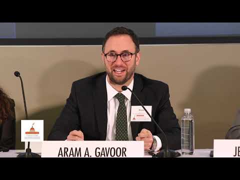 Panel 2 Is Immigration Law Special National Security, Special Courts, and “For This Ride Only” Law