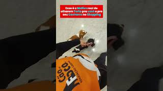 Seu cão te faz passar vergonha no shopping? Essa é a diferença entre um cachorro adestrado!