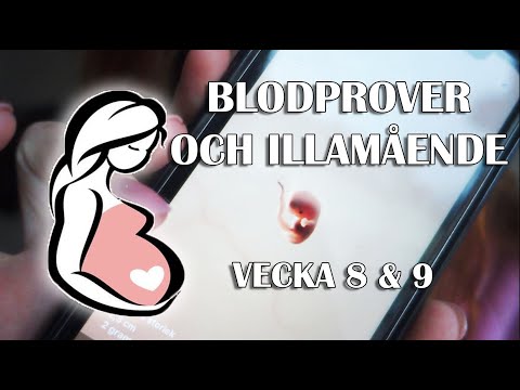 FÖRSTA BESÖKET HOS BARNMORSKAN