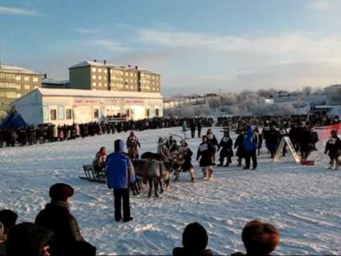 День оленевода. Воркута.