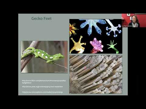 Virtual Ephs: Lifelong Learning Lecture with Professor Lee Park | SoA Bicentennial