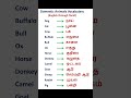 Domestic Animals Vocabulary English Through Tamil Learnenglish Englishtotamil Tamiltoenglish