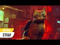 Stray Review - Wie wil nou niet met een poes spelen?!