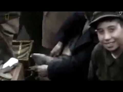 Adolf Hitler Dokumentar Pjesa 1 Shqip