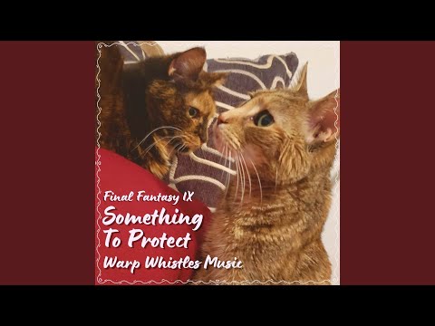 Something To Protect (From "Final Fantasy IX")