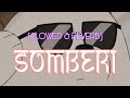 SOMBERI SLOWED REVERB Havoc Brothers