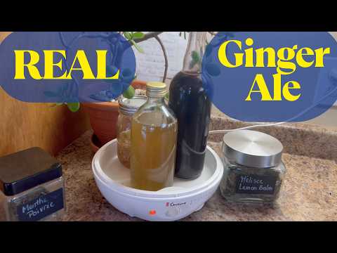 DIY Probiotic Ginger Ale: Gut-Healthy Fermentation