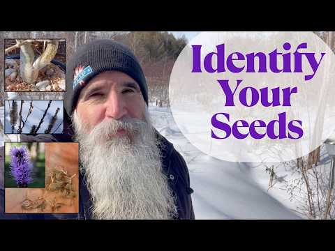 Winter Seeds to Oaxaca: Native Habitat & Garden Memories