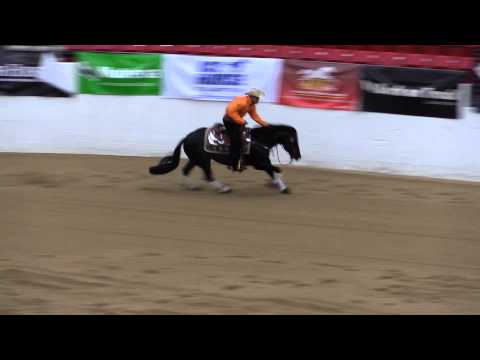 High Roller Whiz / Yonathan Baruch