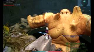 아리샤로 브라하 솔플할 때 넘어가기!