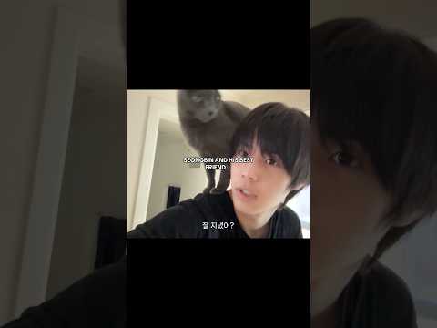 THEY’RE SO CUTEE#82major#seori#seongbin#fy82p#82log