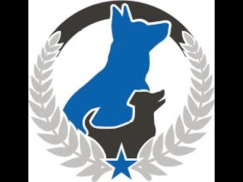 It's National Dog Day!