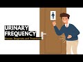 Urinary Frequency Causes Signs And Symptoms Diagnosis And Treatment