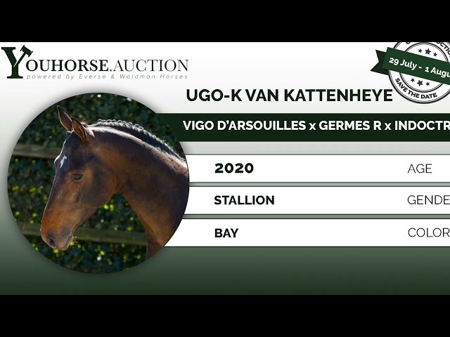 Ugo-k van Kattenheye