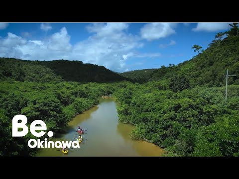 【慶佐次湾のヒルギ林】Be.Okinawa つぎなる旅先、沖縄へ｜Be.Okinawa 2020