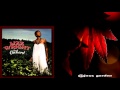 Lizz Wright - When I Fall