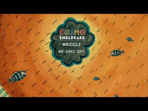 Cosmo Sheldrake - Wriggle (Mr Jukes Edit)