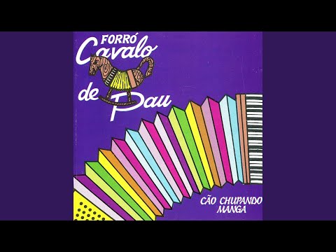 Bichinho De Estimacao - Cavalo De Pau