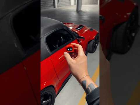 Pov: Mochi goes everywhere with you🫶🏼 dasai.com.au #dasai #mochi #jdm #drift #jdmcarculture #anime