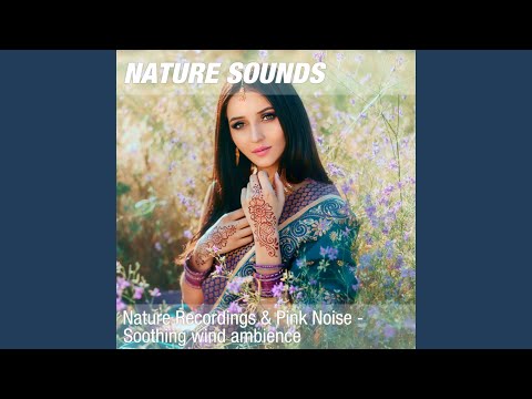 Nature Sounds for Sleep & Deep Meditation (Forest, pink noise) 16