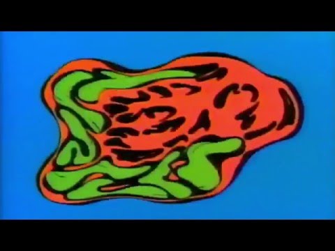 Teenage Mutant Ninja Turtles (English Opening)