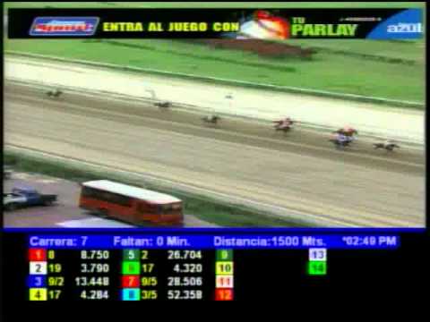 Resumen Domingo, 10 de Junio de 2012 - La Rinconada