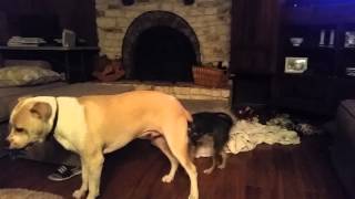 Suzie, Walter & Bucky 2