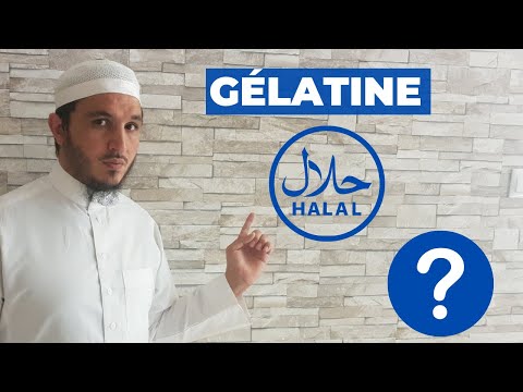 Haribo Croco Halal Ou Pas