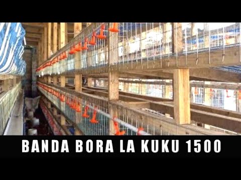 , title : 'BANDA BORA LA KUKU 1500 KEREGE BAGAMOYO'