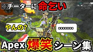【爆笑】Apex 面白クリップ集⑱『チーターに命乞いして優勝ｗｗ  ALGS本配信乗っ取Ru 他』   | Apex Legends