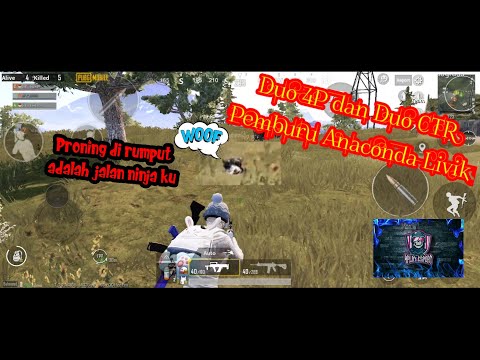 Duo 4P dan Duo CTR Pemburu Anaconda Livik ...