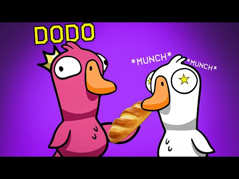 Gans frisst mir aus der Hand | Goose Goose Duck