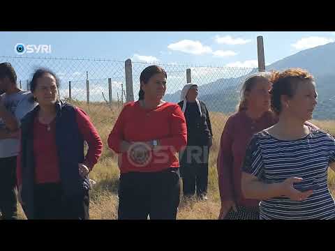 Bashkia Librazhd jep me qira 12 hektarë pyje, banorët e Dragostunjës në protestë