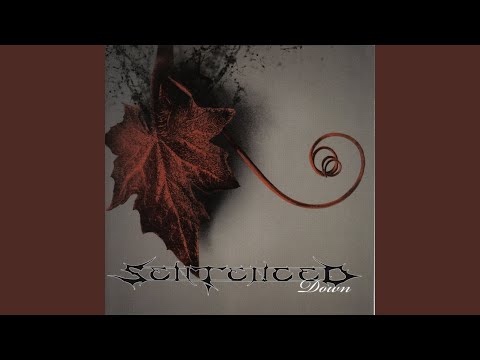 No Tomorrow cover