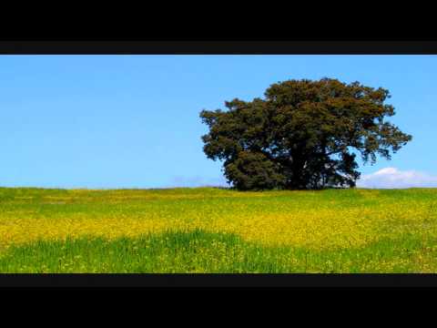 Bittah   Las flores del mal [Producido por ZeckBeats]