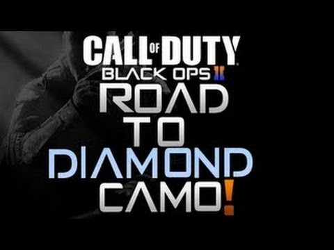 Bo2 road to diamond camo #1