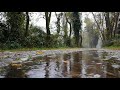 Forest Status It S Indian Nature