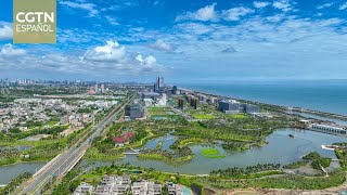 Primer ministro chino preside reunión sobre expansión de apertura institucional